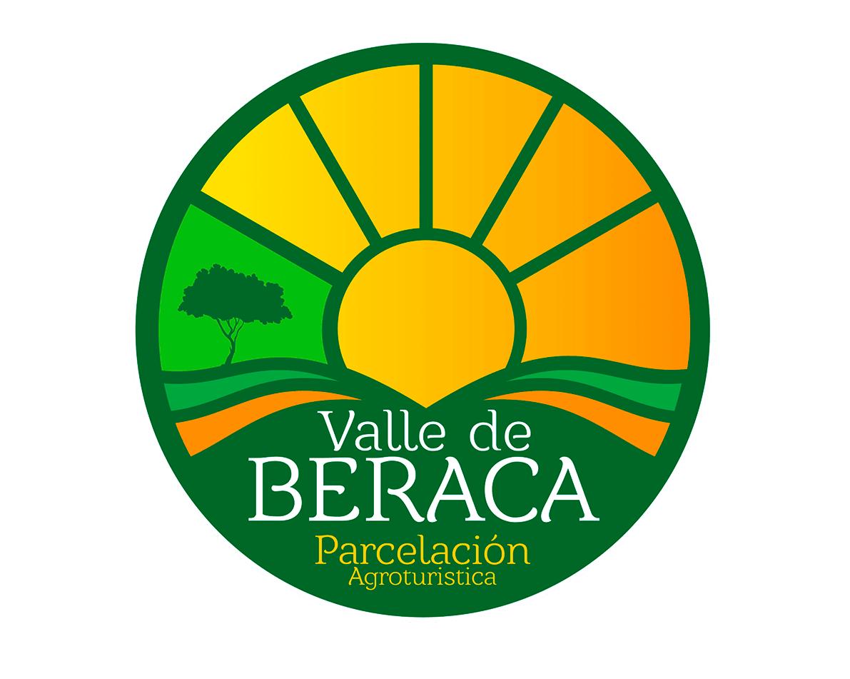 nuevas-imag-opti_0009_nodo-41-beraca